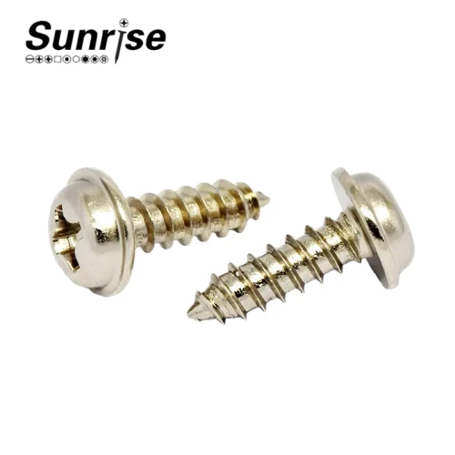 Hardware Screw Pan Head Phillips with Washer Self-tapping Screw 6